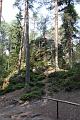 Wakacje Bukowka 120 - Skalne Mesto
